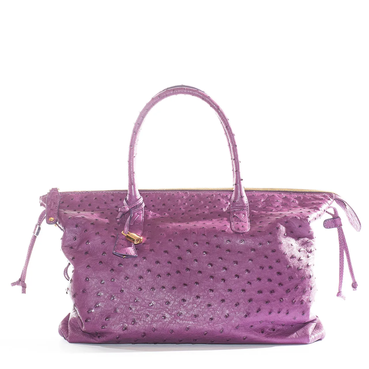 6455S - Ostrich Top Handle Bag