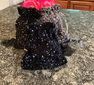 Sequin Embroidery Purse